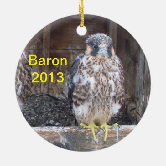 Baron 2013 Ornament (Hinten)