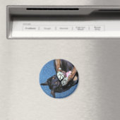 Baron " I'm Shy" Magnet (In Situ (Geschirrspüler))