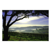 Barossa-Tal Landschaft Fotodruck (Vorne)