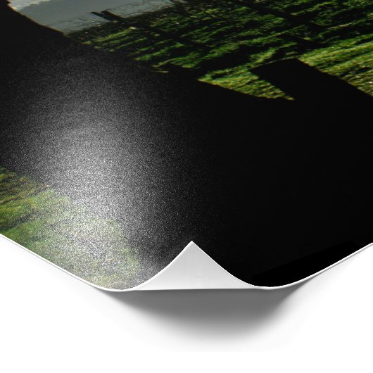 Barossa-Tal Landschaft Fotodruck (Ecke)