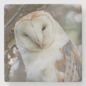 Barowl Portrait Stone Untersetzer (Vorderseite)