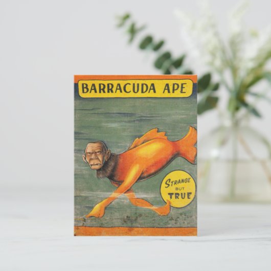 Barracuda Ape Postkarte (Stehend Vorderseite)