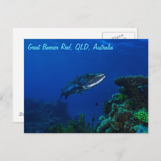 Barracuda auf der Postkarte des Großen Barrier-Rif (Vorne/Hinten)