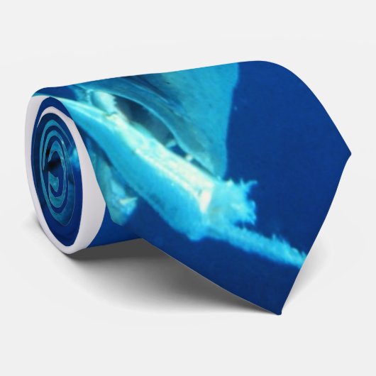 Barracuda, der sein Opfer isst Krawatte (Gerollt)