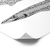Barracuda Fisch Erwachsenenfarbposter Poster (Ecke)