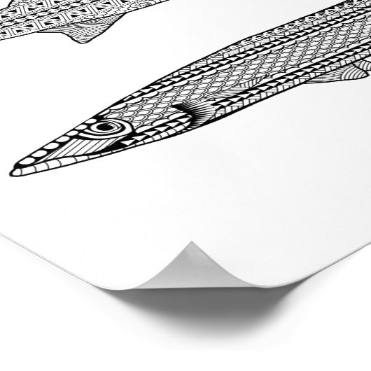 Barracuda Fisch Erwachsenenfarbposter Poster (Ecke)