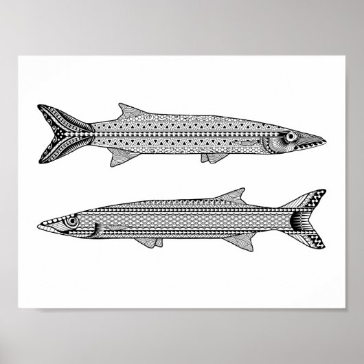 Barracuda Fisch Erwachsenenfarbposter Poster (Vorne)