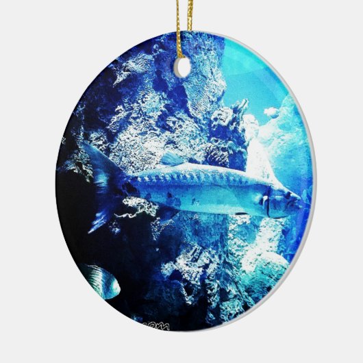 Barracuda Keramikornament (Links)