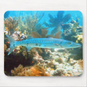 BARRACUDA MOUSEPAD (Vorne)