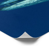 Barracuda Poster (Ecke)