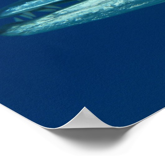 Barracuda Poster (Ecke)