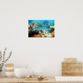 BARRACUDA POSTER (Küche)