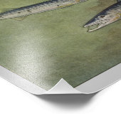 Barracuda Vintag Fotodruck (Ecke)