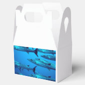 Barracudas Geschenkschachtel (Geöffnet)