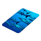 Barracudas Magnet (Linke Seite)