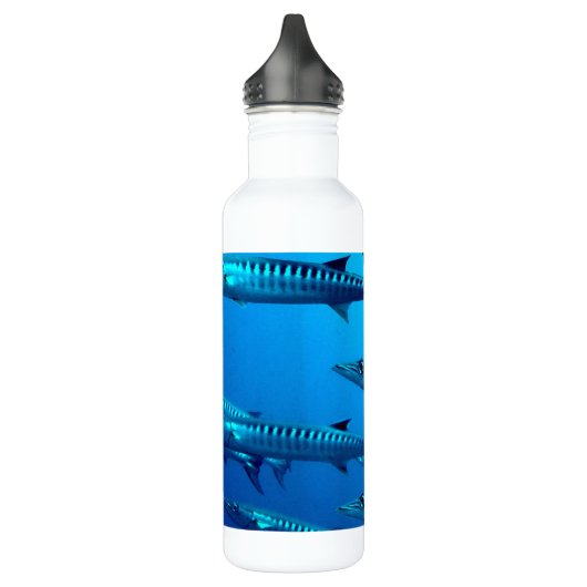 Barracudas Trinkflasche (Links)