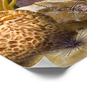 Barracudas über das Korallenriff Poster (Ecke)