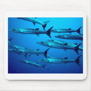 Barrakuda-Tiefseetaucher-Ozean-Wasser-tropische-We Mousepad