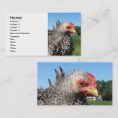 Barred Frizzle Chicken Visitenkarte (Vorne/Hinten)
