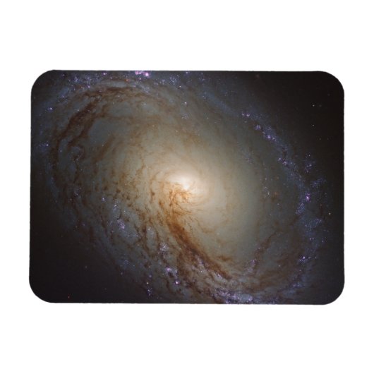 Barred Lenticular Galaxy Ngc 3368 Magnet (Horizontal)