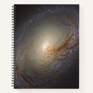 Barred Lenticular Galaxy Ngc 3368 Notizblock