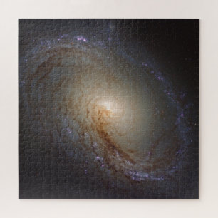 Barred Lenticular Galaxy Ngc 3368 Puzzle