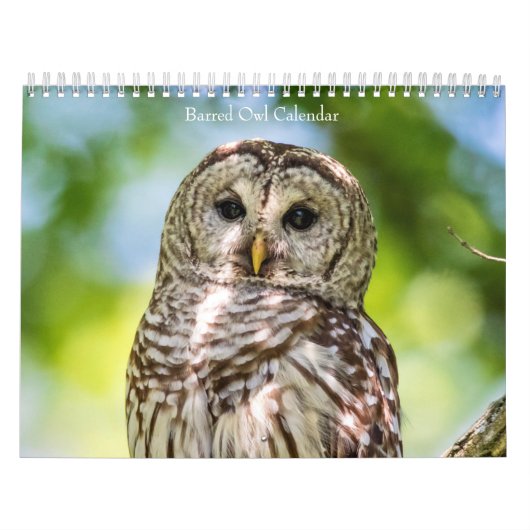 Barred Owl 2026 Kalender (Titelbild)