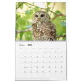 Barred Owl 2026 Kalender (Jan 2026)