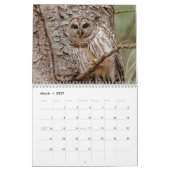 Barred Owl 2026 Kalender (Mär 2027)