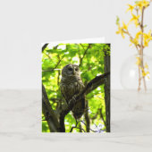 Barred Owl #2 - Blank Note Card Karte (Gelbe Blume)