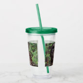 Barred Owl Acryltrinkbecher (Links)