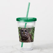Barred Owl Acryltrinkbecher (Rückseite)