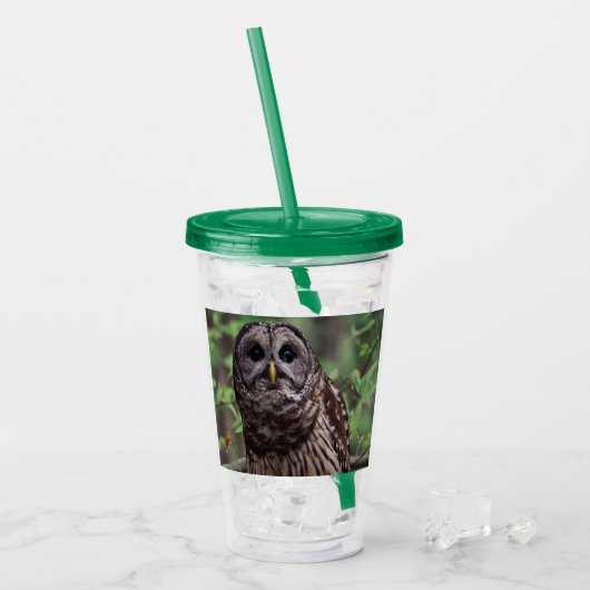 Barred Owl Acryltrinkbecher (Vorderseite Ice)