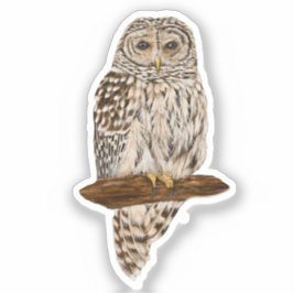 Barred Owl Aufkleber