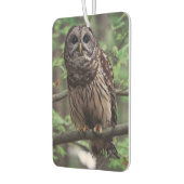 Barred Owl Autolufterfrischer (Links)