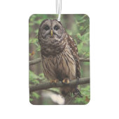Barred Owl Autolufterfrischer (Rückseite)