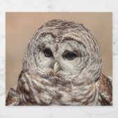 Barred Owl Bierflaschenetikett (Einzelnes Label)