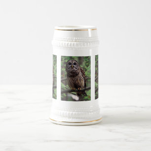 Barred Owl Bierglas