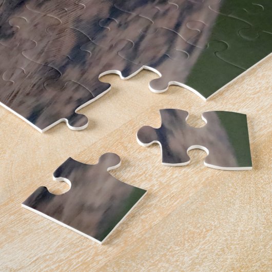 Barred Owl - Bird of Prey. Puzzle (Seite)