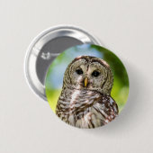 Barred Owl Button (Vorne & Hinten)
