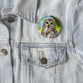 Barred Owl Button (Beispiel)