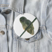 Barred Owl Button (Beispiel)