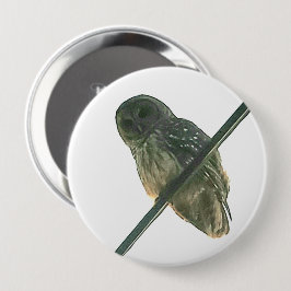 Barred Owl Button