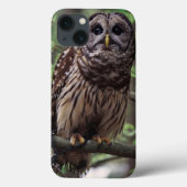 Barred Owl Case-Mate iPhone Hülle (Rückseite)