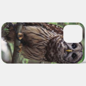 Barred Owl Case-Mate iPhone Hülle (Hinten (horizontal))