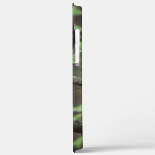 Barred Owl Case-Mate iPhone Hülle (Rückseite / Links)