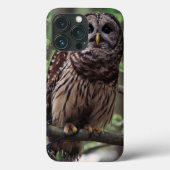 Barred Owl Case-Mate iPhone Hülle (Rückseite)