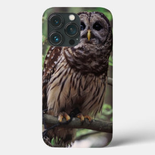 Barred Owl Case-Mate iPhone Hülle