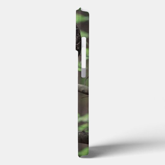 Barred Owl Case-Mate iPhone Hülle (Rückseite / Links)