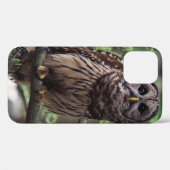 Barred Owl Case-Mate iPhone Hülle (Rückseite (Horizontal))